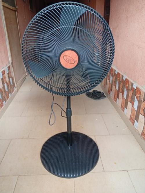 Fan