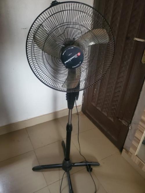 Fan