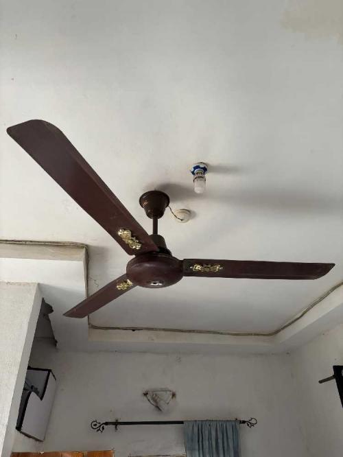 Ceiling Fan