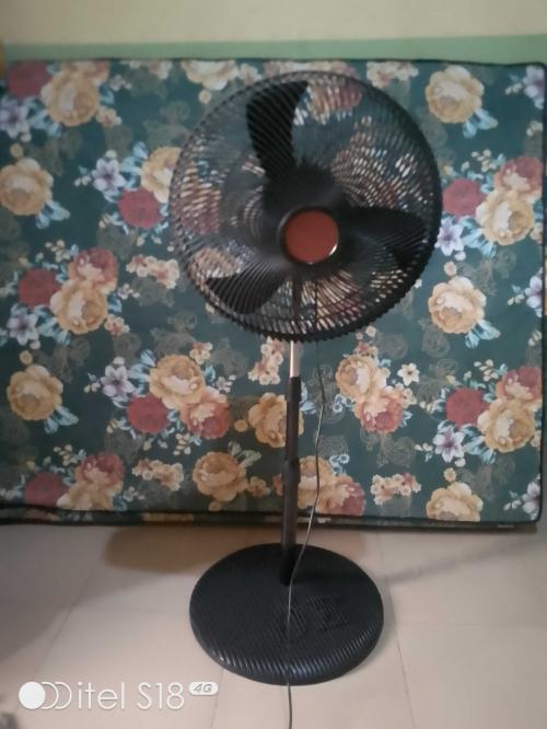 OX Standing fan